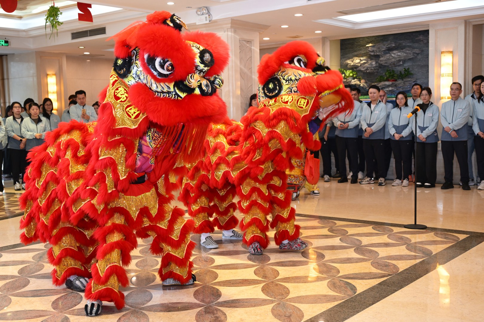 DSC_2469(1).JPG DSC_2469(1).JPG