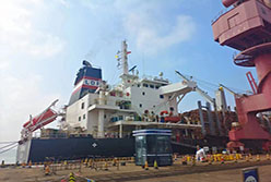 深挖木材进口渠道资源 助力轻出集团高质发展