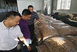 陈国栋总经理带队考察粮油平台标杆企业